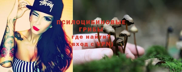 а пвп мука Козловка