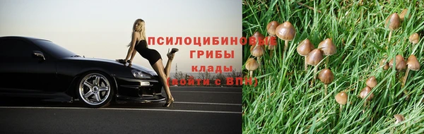 эйфоретик Корсаков