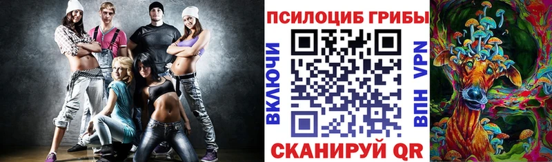 Псилоцибиновые грибы Psilocybine cubensis  Киржач 