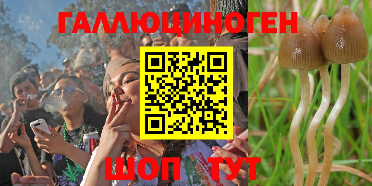 Псилоцибиновые грибы MAGIC MUSHROOMS Киржач